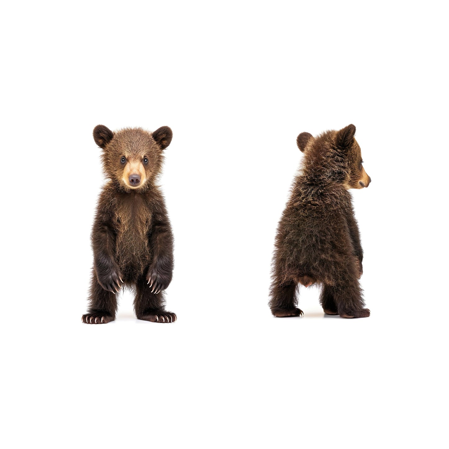 Baby Bear Nursery Baby Animal Wall Art, Set of 2