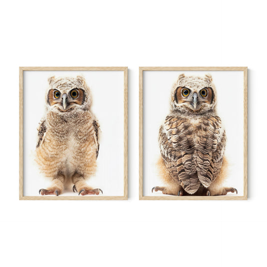 Baby Owl Nursery Baby Animal Wall Art, Set of 2