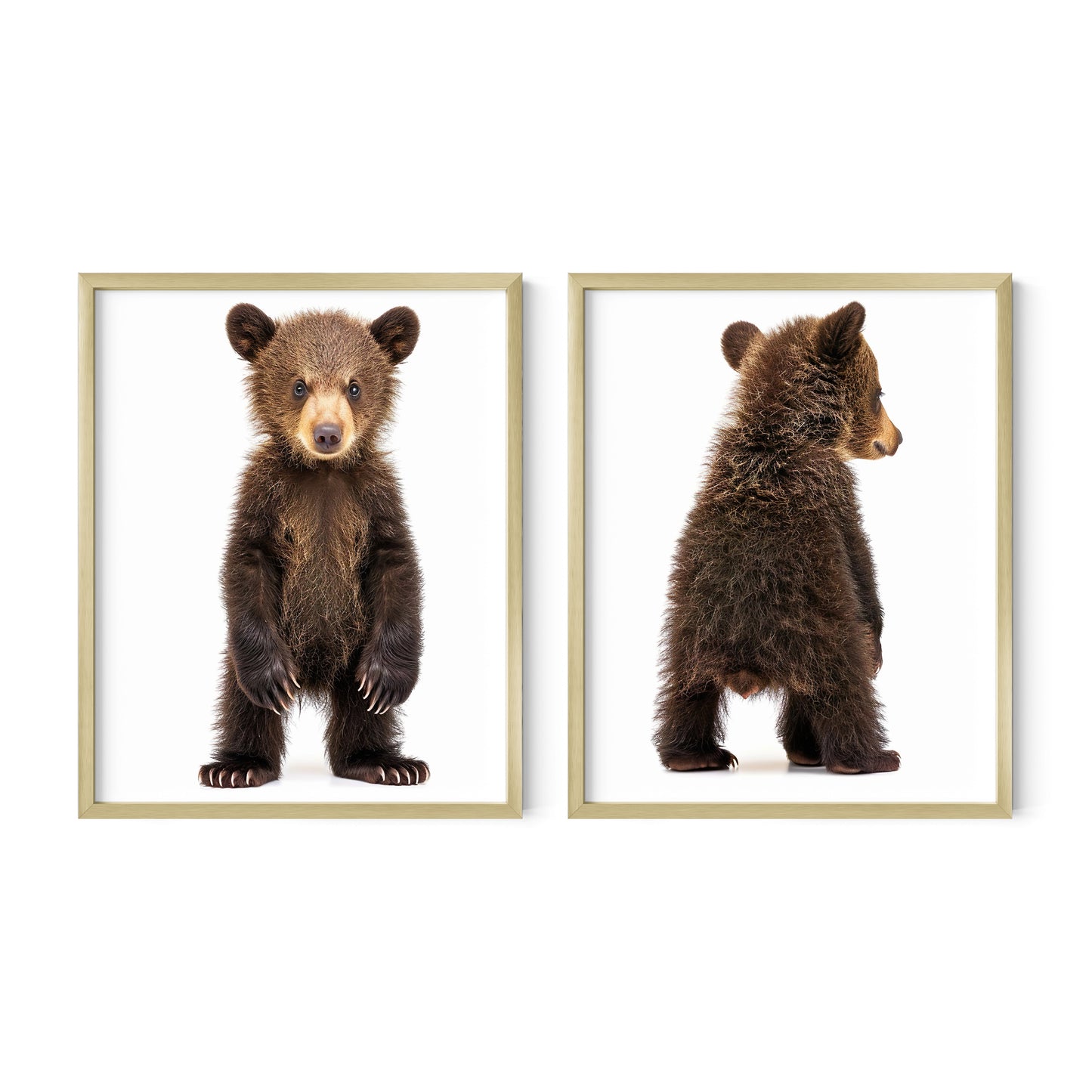 Baby Bear Nursery Baby Animal Wall Art, Set of 2