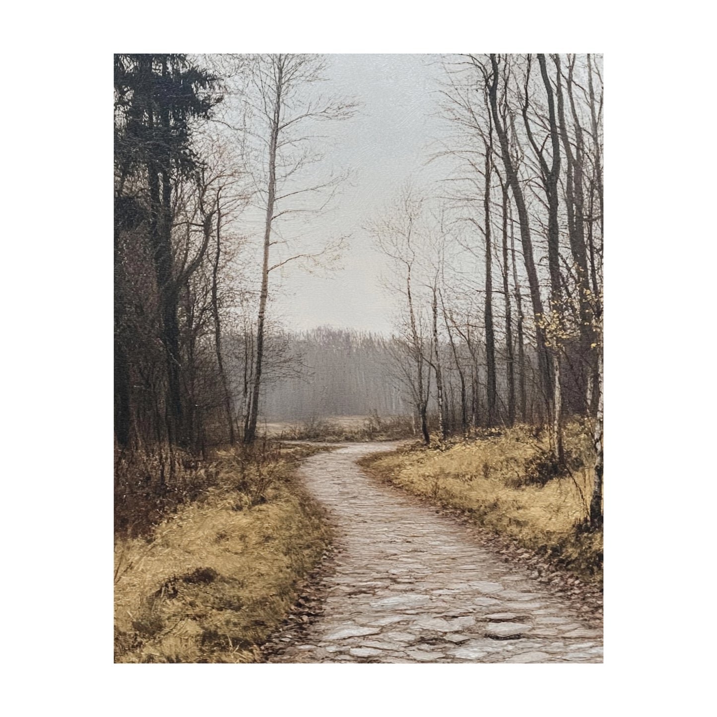 Forest Stillness Wall Art